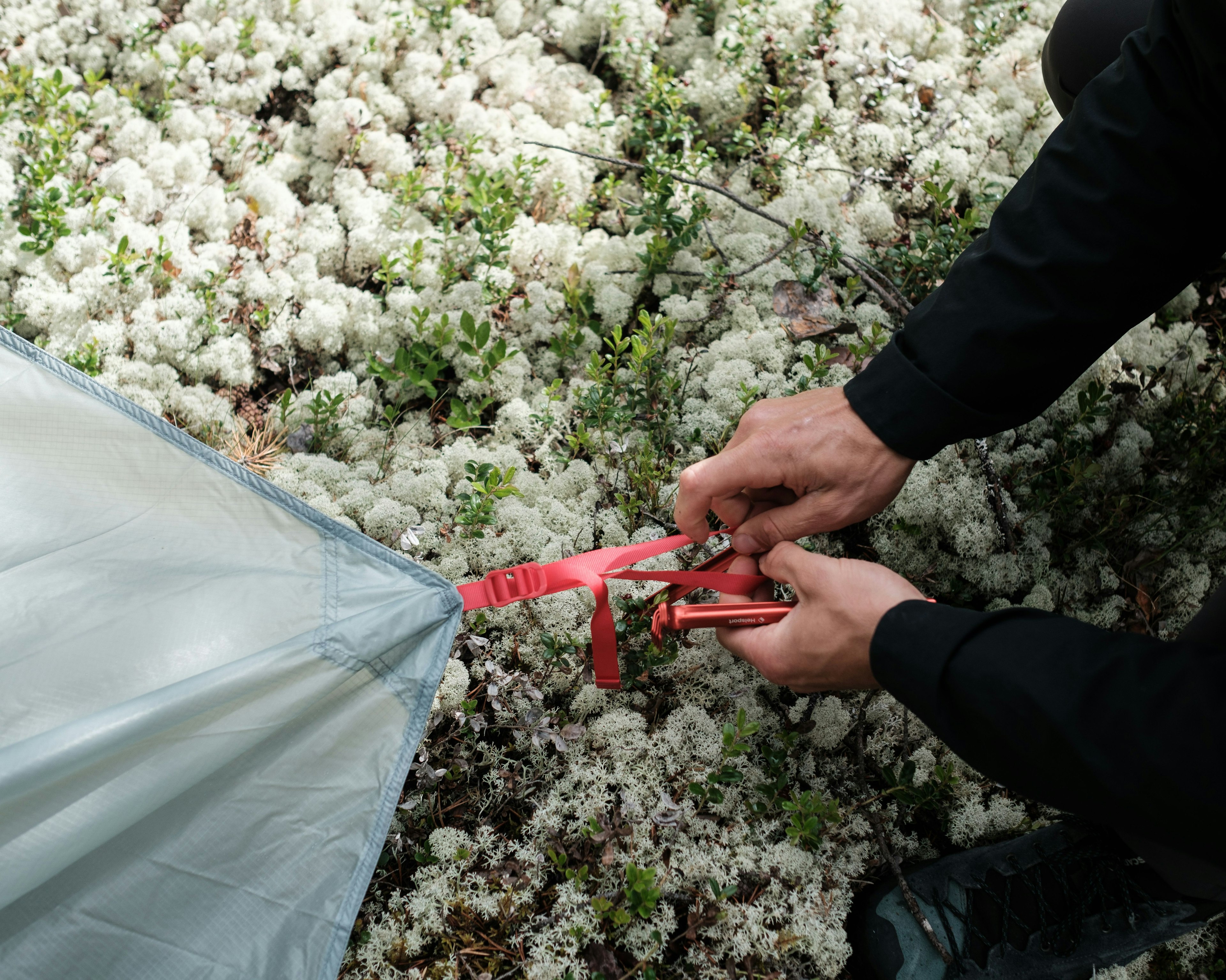 Hvordan sette opp et telt