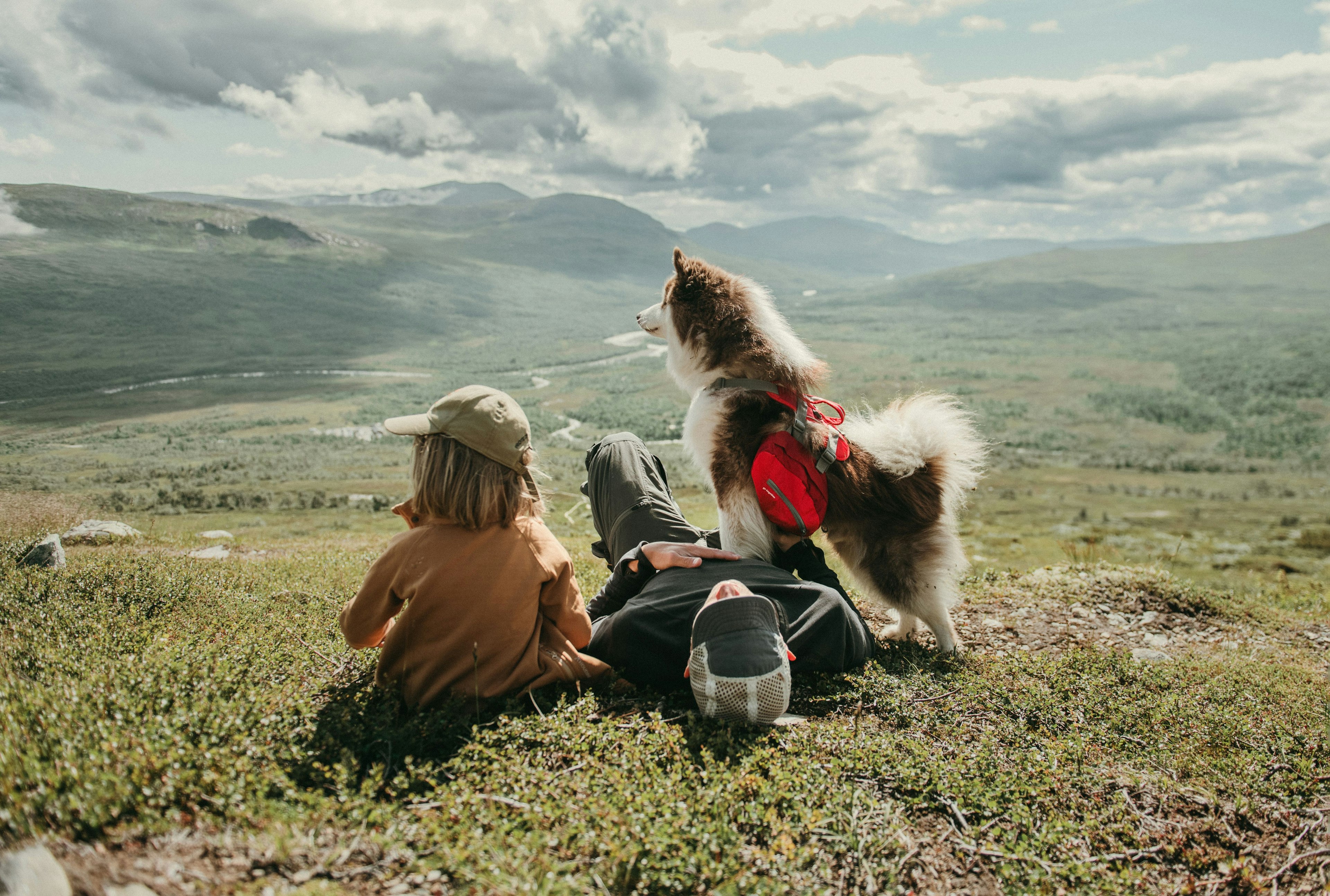 Two people and a dog resting on a mountain, overlooking a vast green valley.