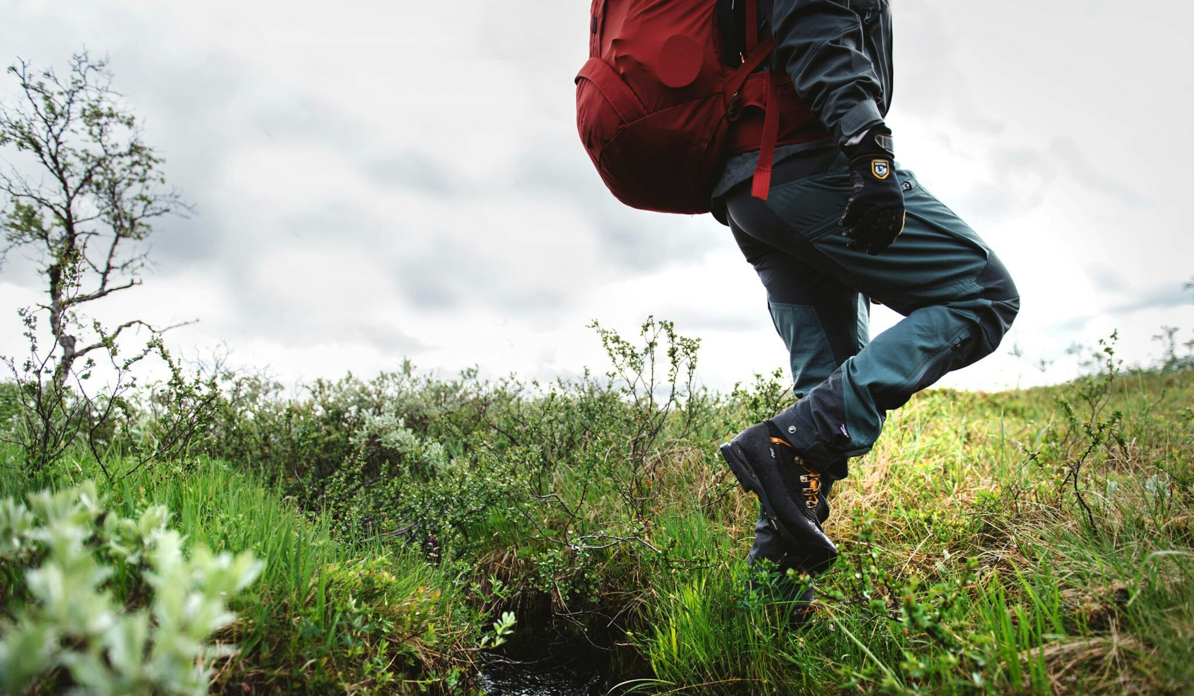 person trekking in green nature