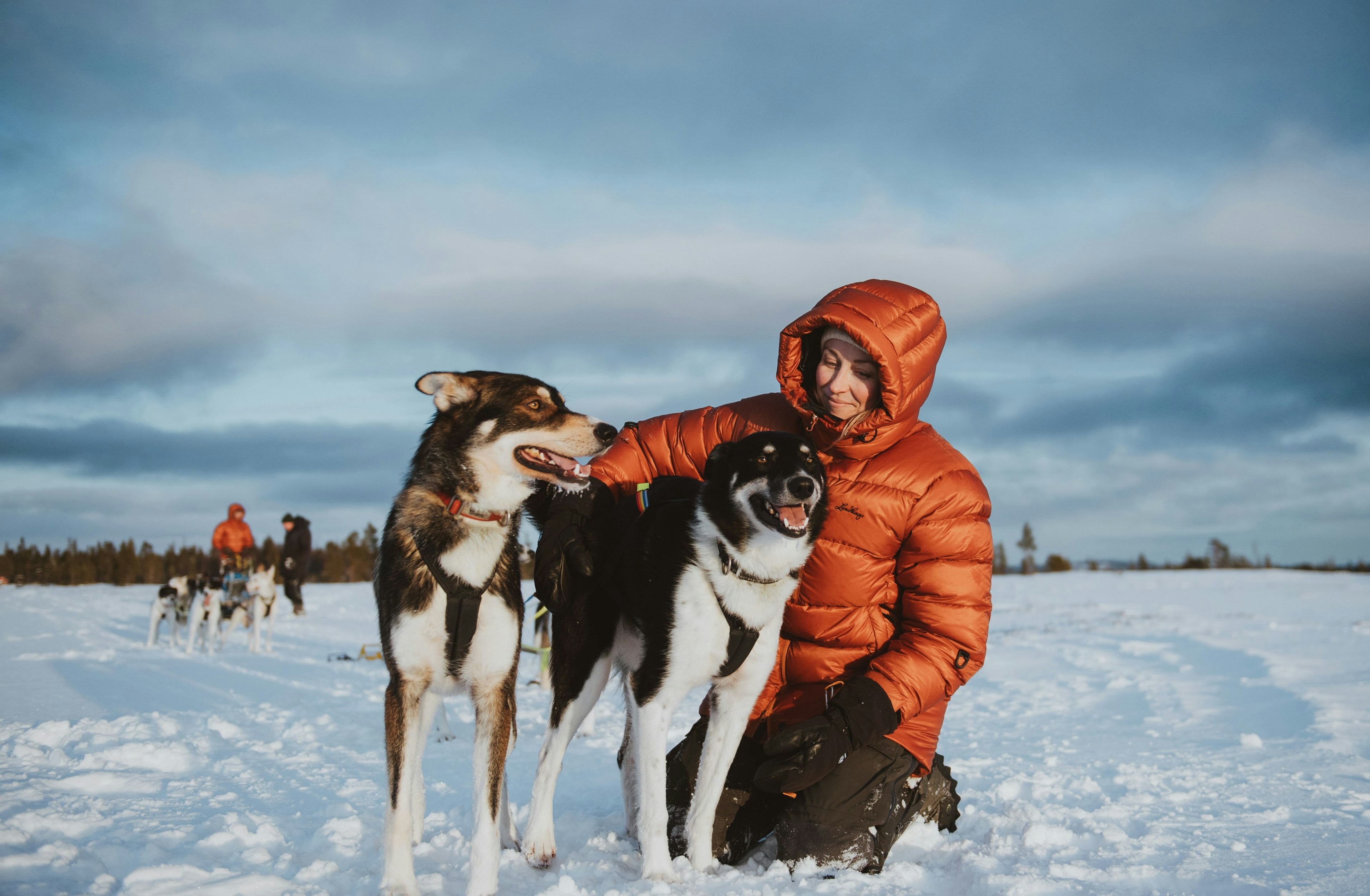 Abisku Adventure Down Parka i bruk under hundekjøring i Åre.