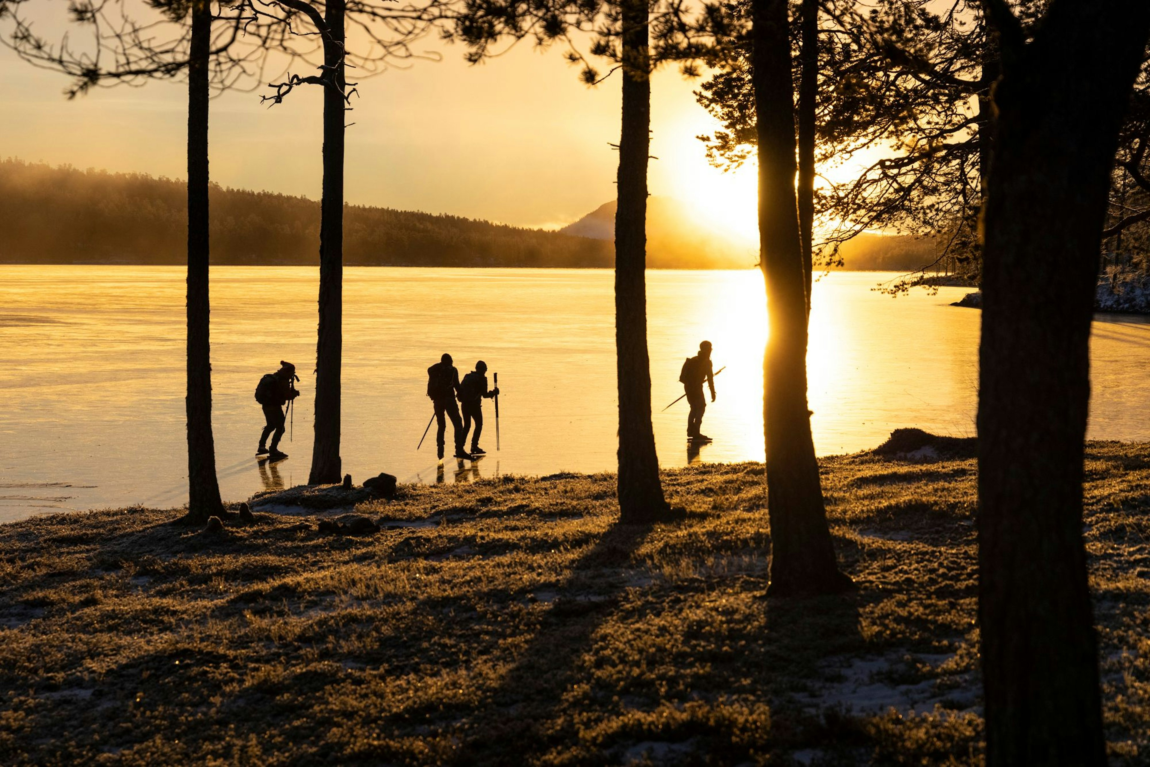 Nordic skating - Safety