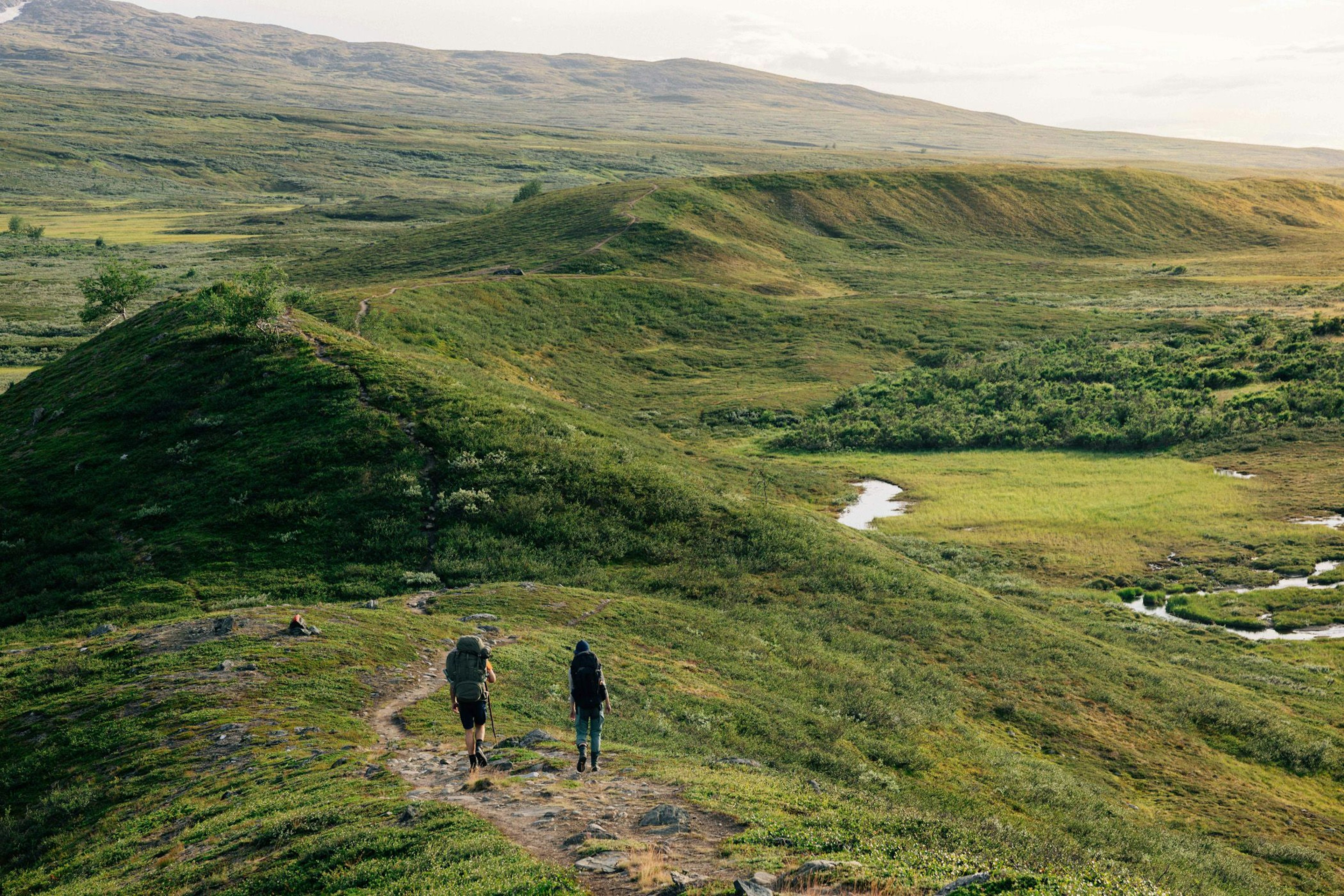 Hikers in the mountains