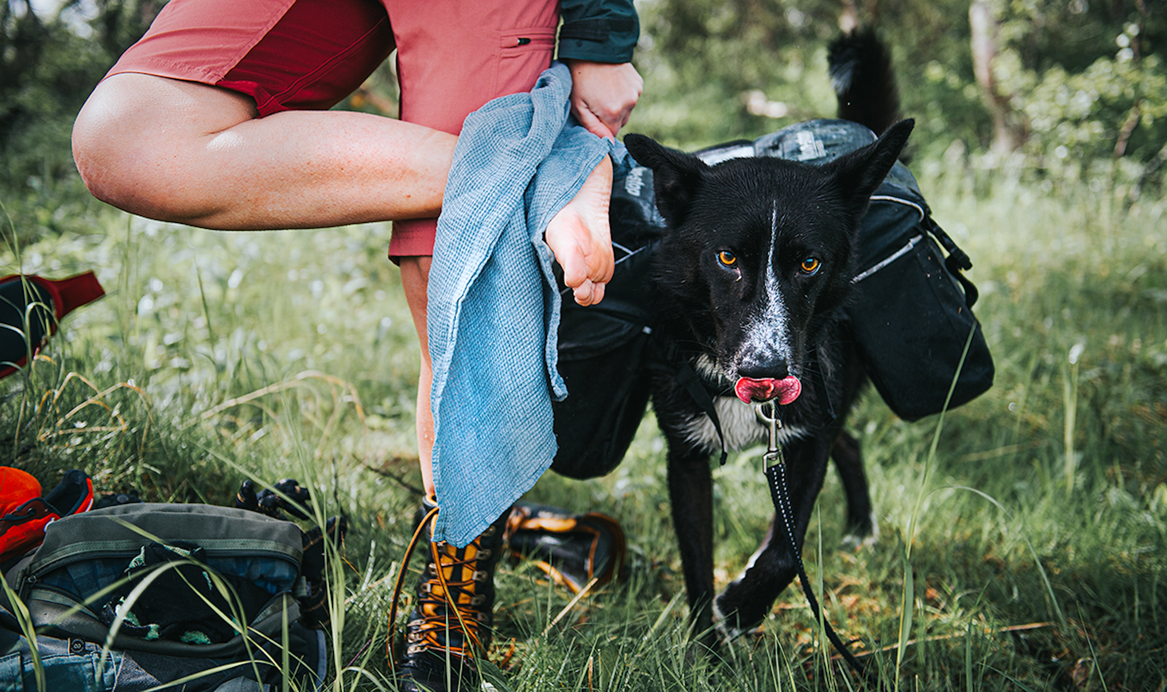 How to skip Blisters