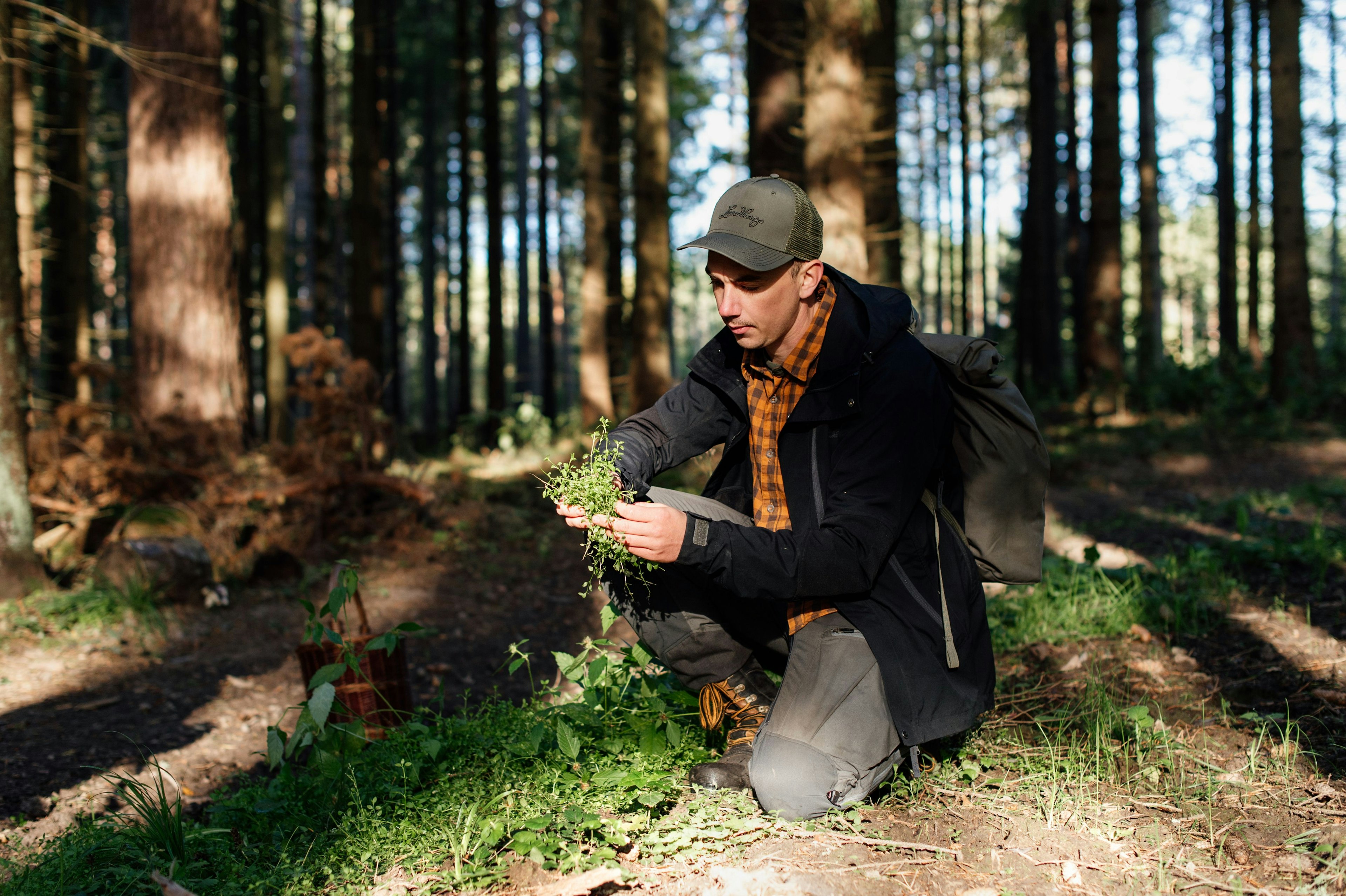 Seven good things to pick