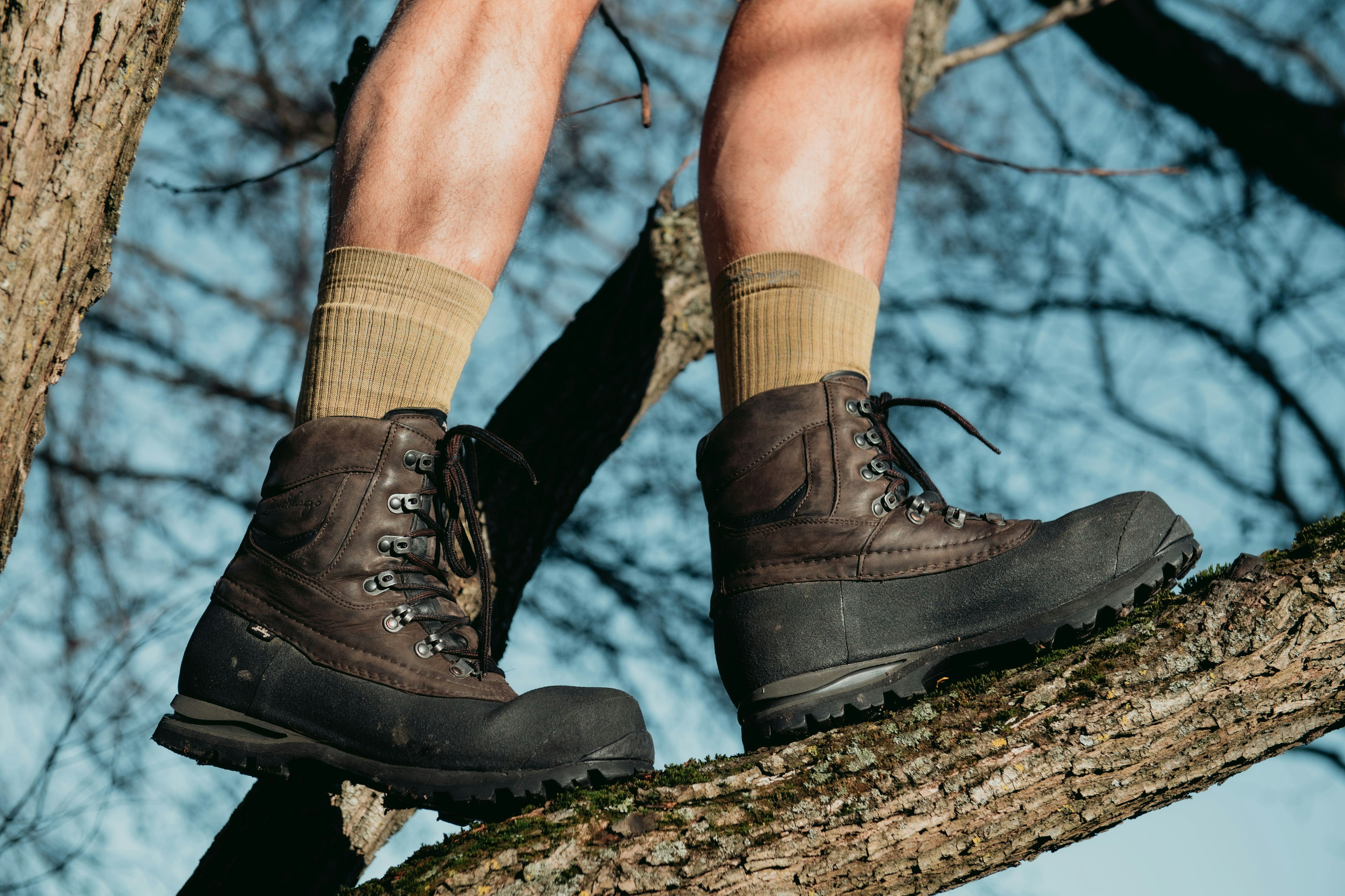 Close-up of brown hiking boots and yellow wool socks on a tree branch.