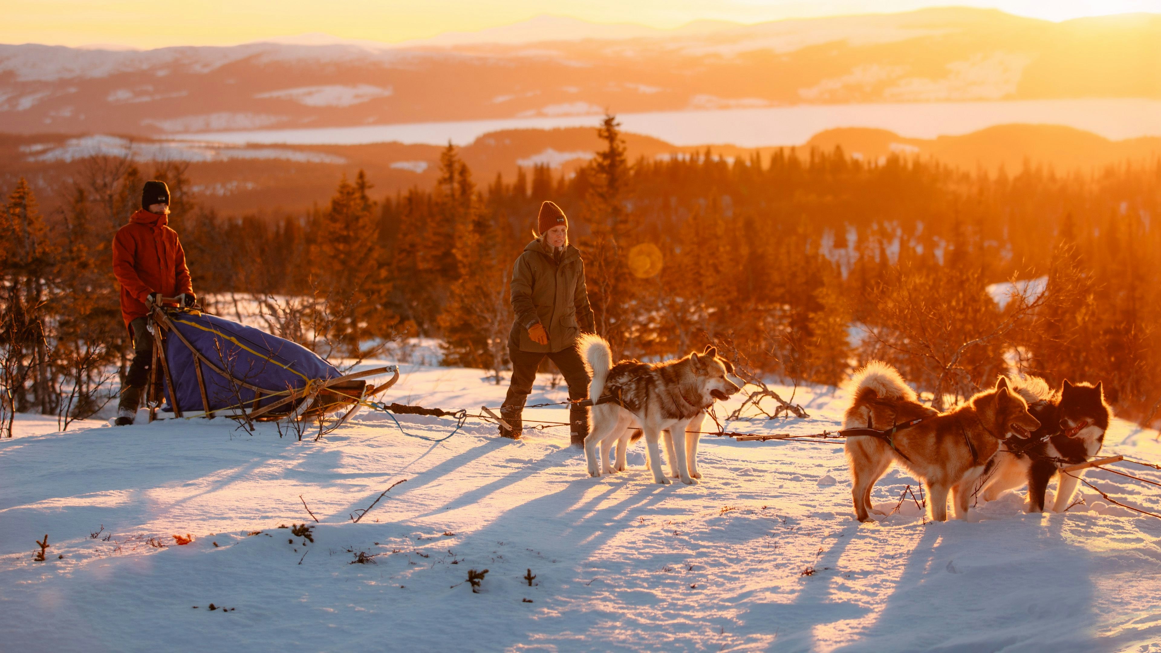 Man och kvinna med hundspann