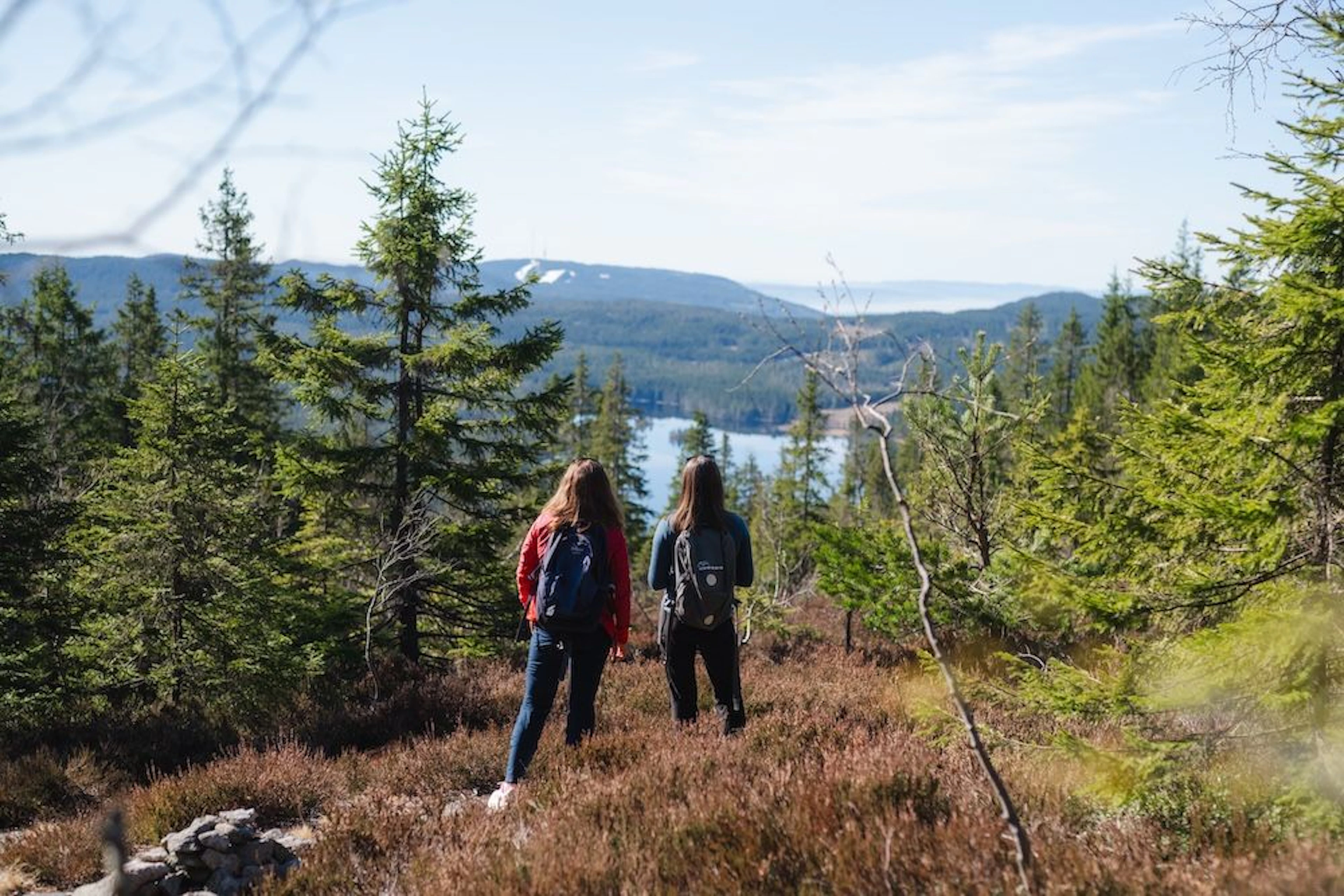 Utsikt fra Kikuttoppen i Nordmarka