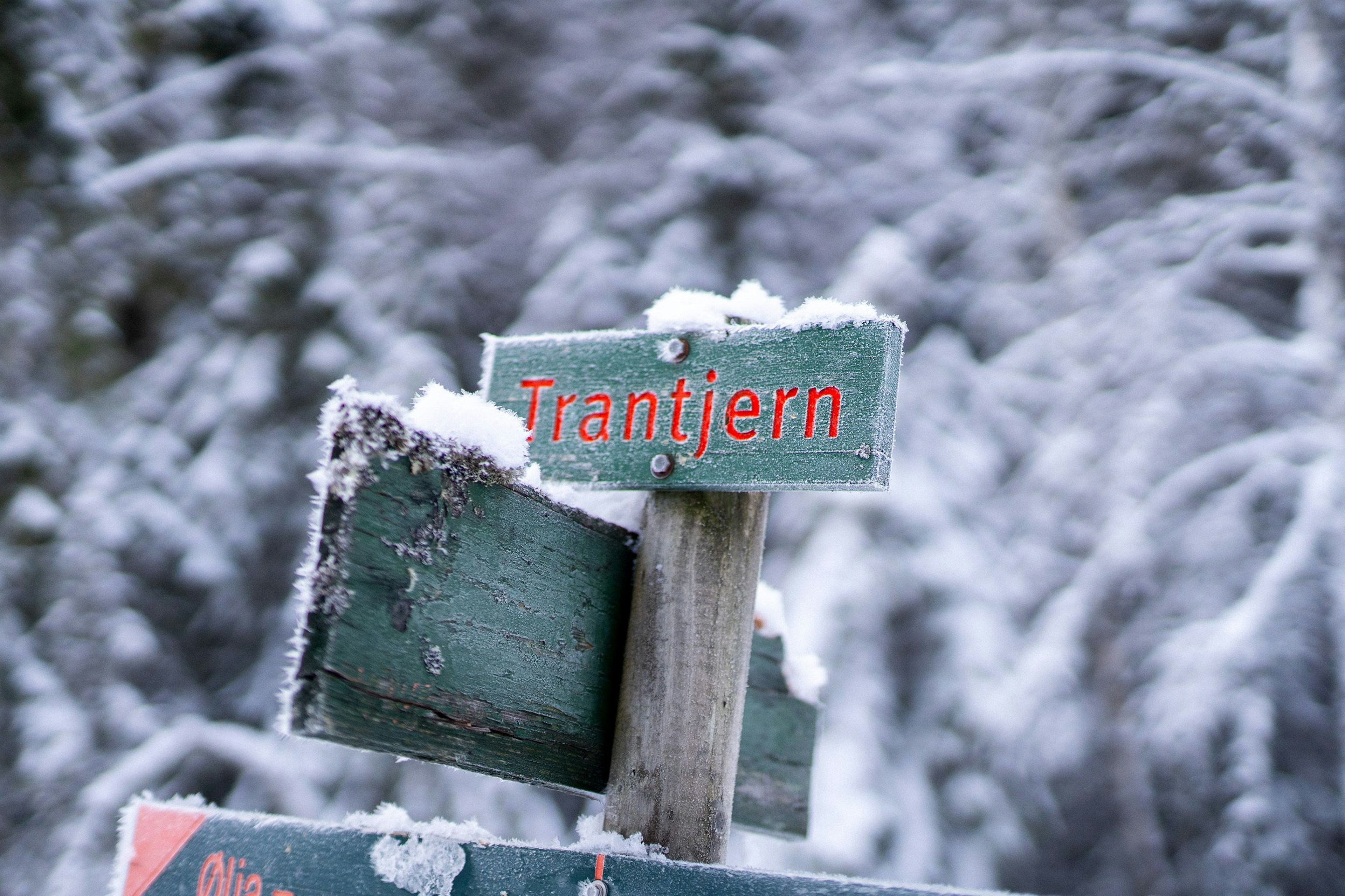 Skiforeningens markaskilt ved Trantjern.