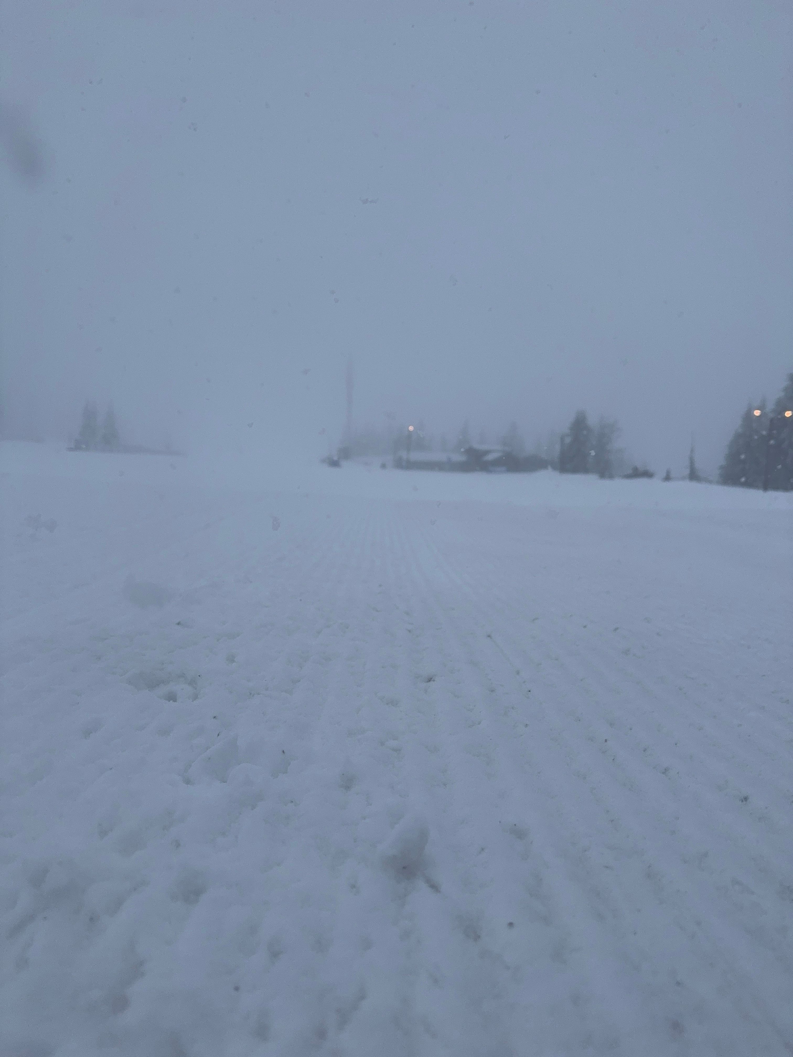 Cross country ski trail in fog and snowfall