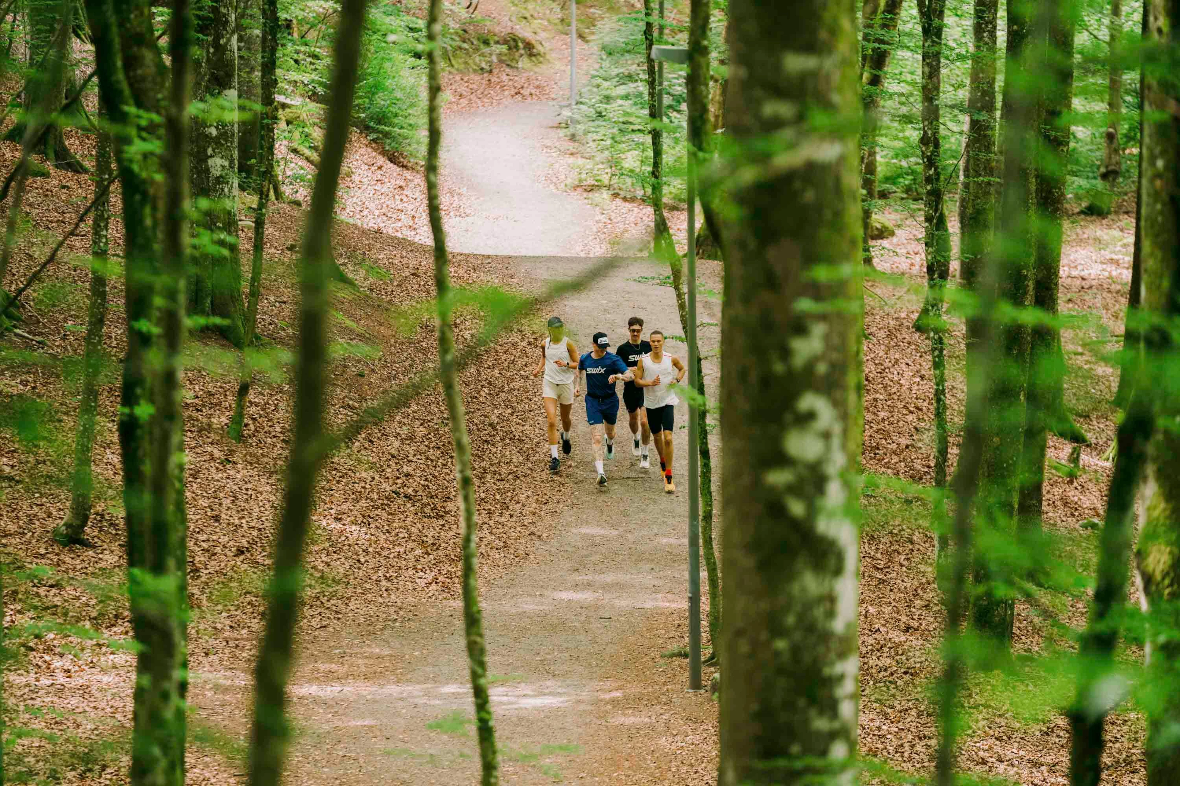 People running in the forest