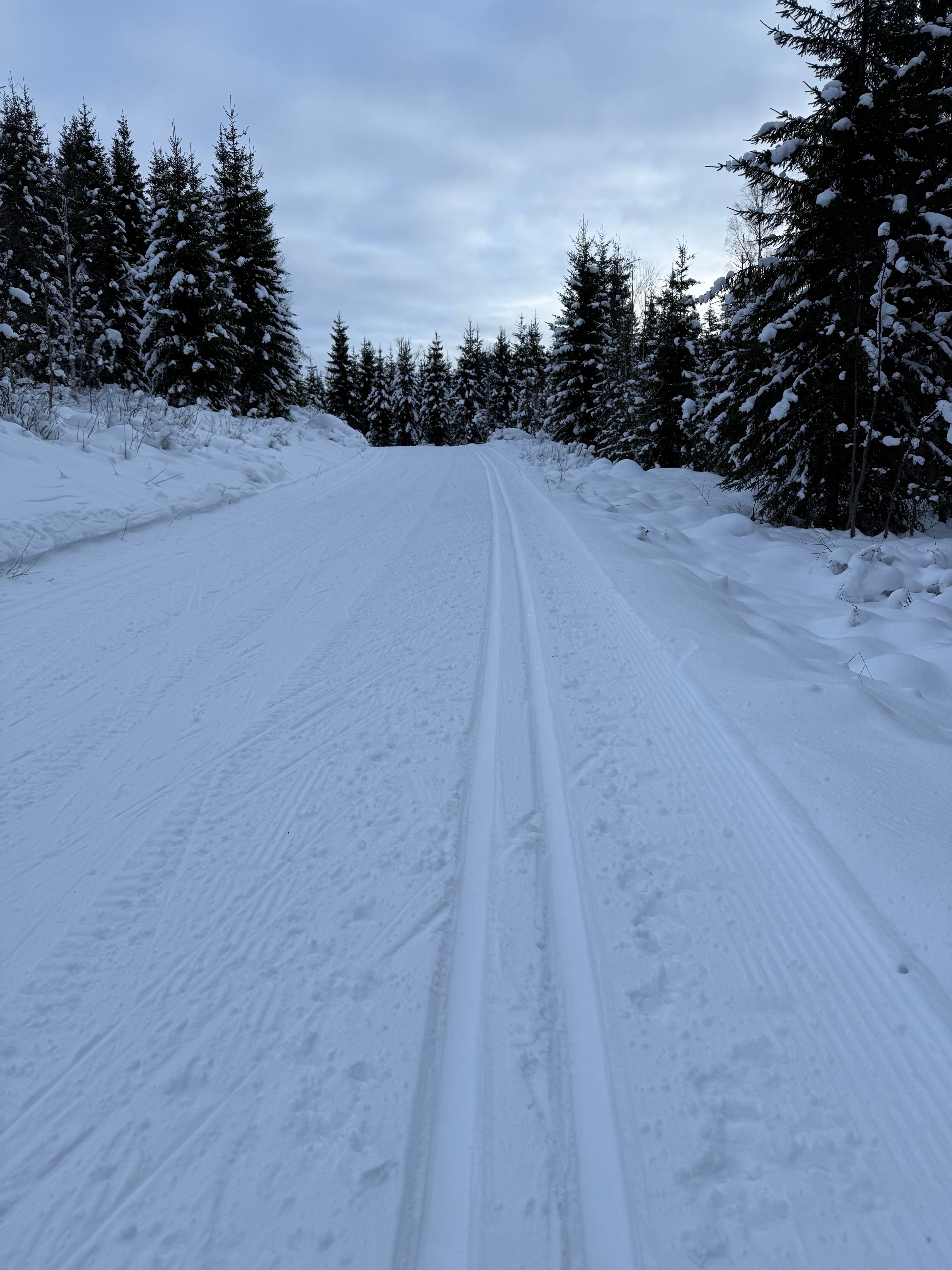Visuell inspeksjon – bilde 1 (lokasjon Heggelivann)